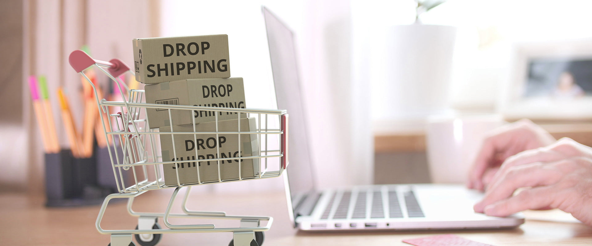 Finding A Successful Online Dropshipping Niche
